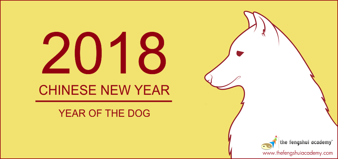 whats a dog year